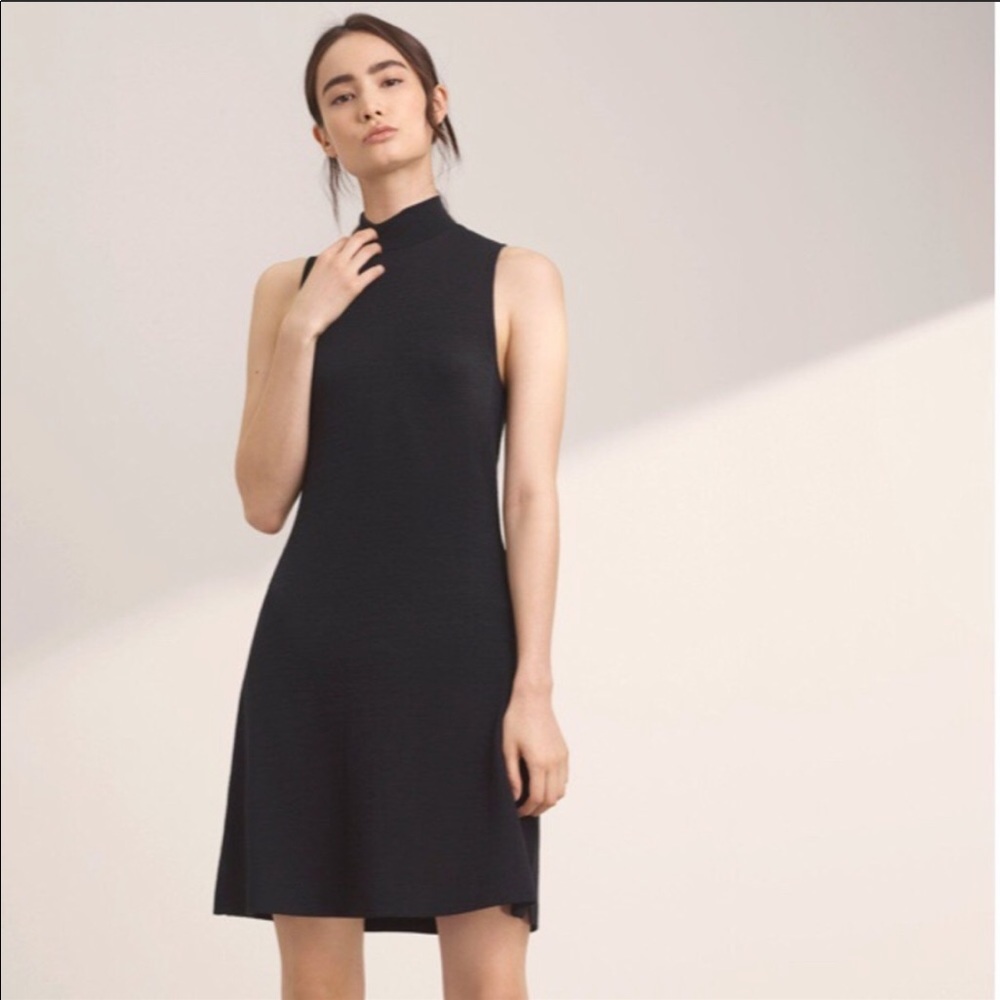 Aritzia Mock Neck Dress